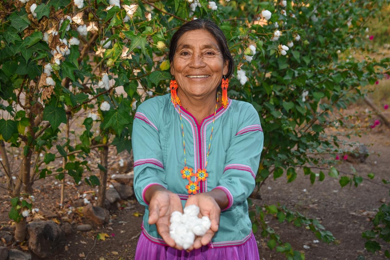 3 millones de mexicanas ya reciben la Pensión Mujeres Bienestar: Ariadna Montiel